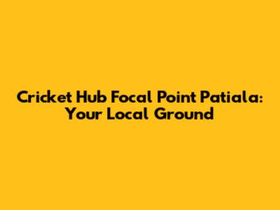 Cricket Hub Focal Point Patiala: Your Local Ground